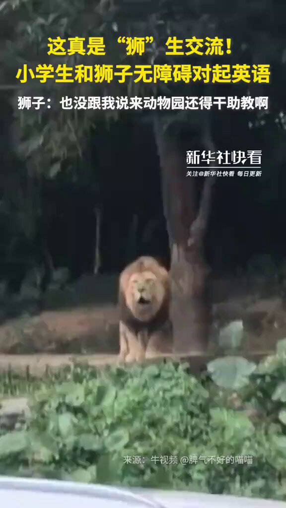 İlkokul Öğrencileri ile Aslan Arasında İngilizce Diyalog