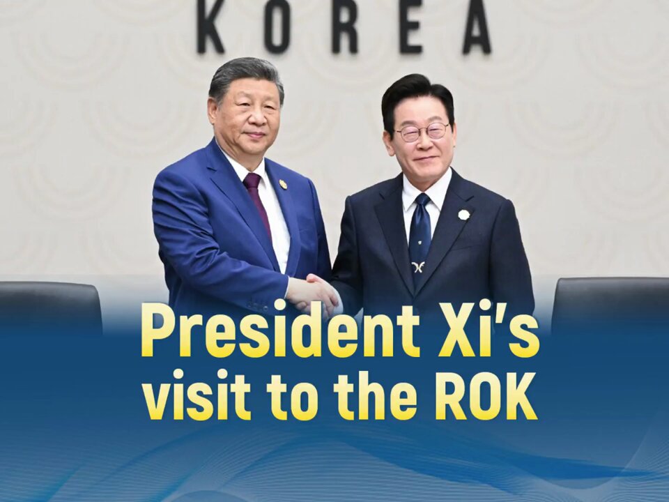 Çin Devlet Başkanı Xi Jinping Güney Kore'de APEC Zirvesi'ne Katıldı