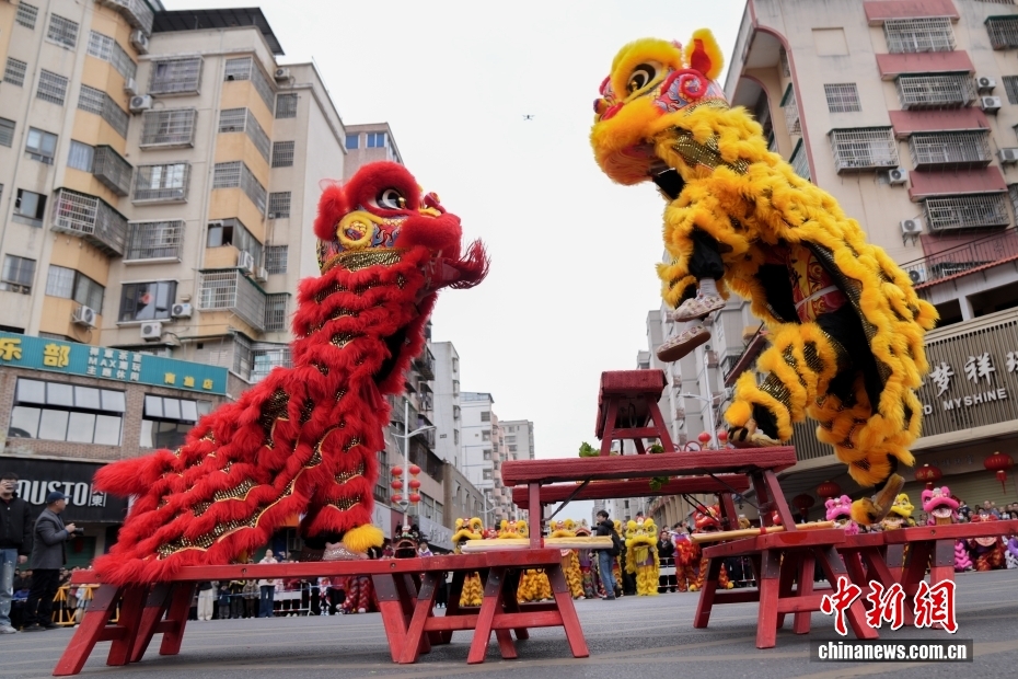 Aslan Danslarıyla Festivale Hazırlık