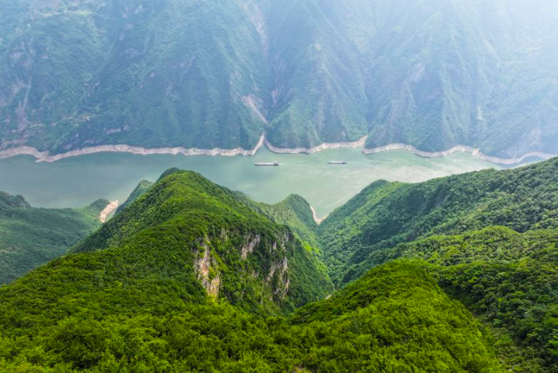 Yangtze Nehri'nde Balık Popülasyonu Artıyor