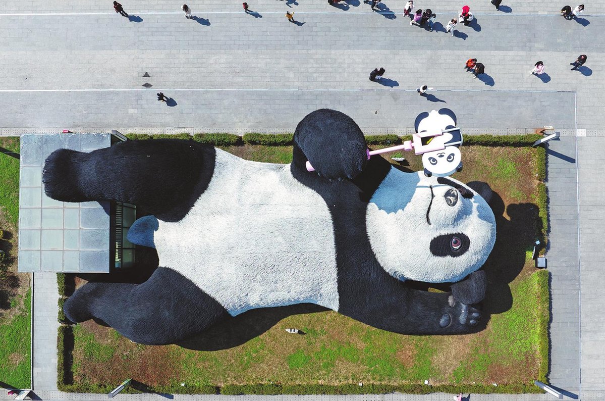 Panda Temalı Modern Yaşam