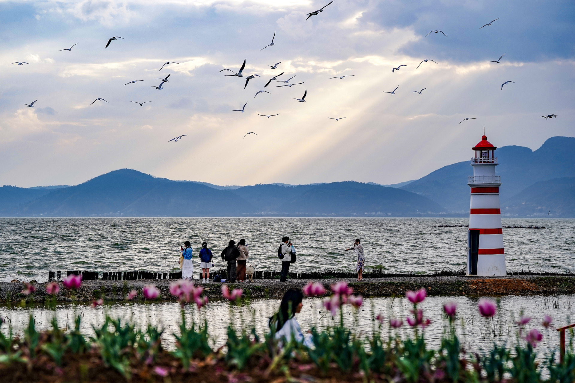 Dianchi Gölü'nde Bahar Coşkusu