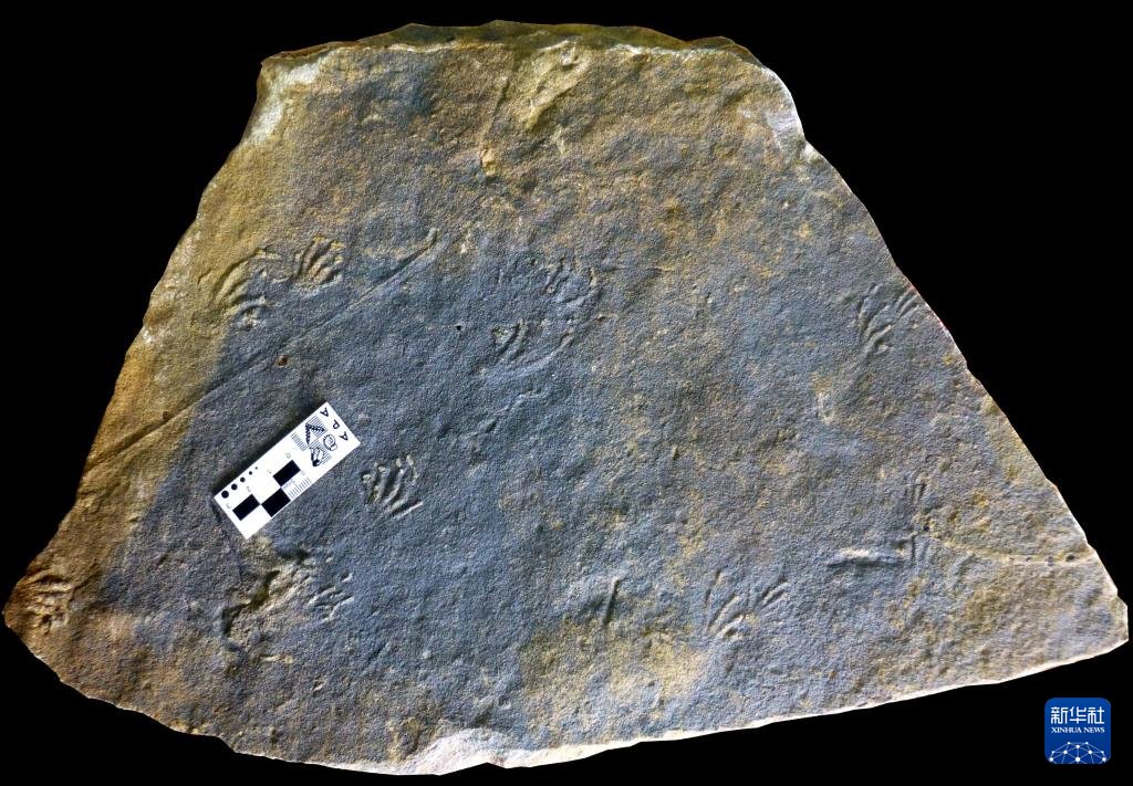 Jurassic İzleri Keşfedildi