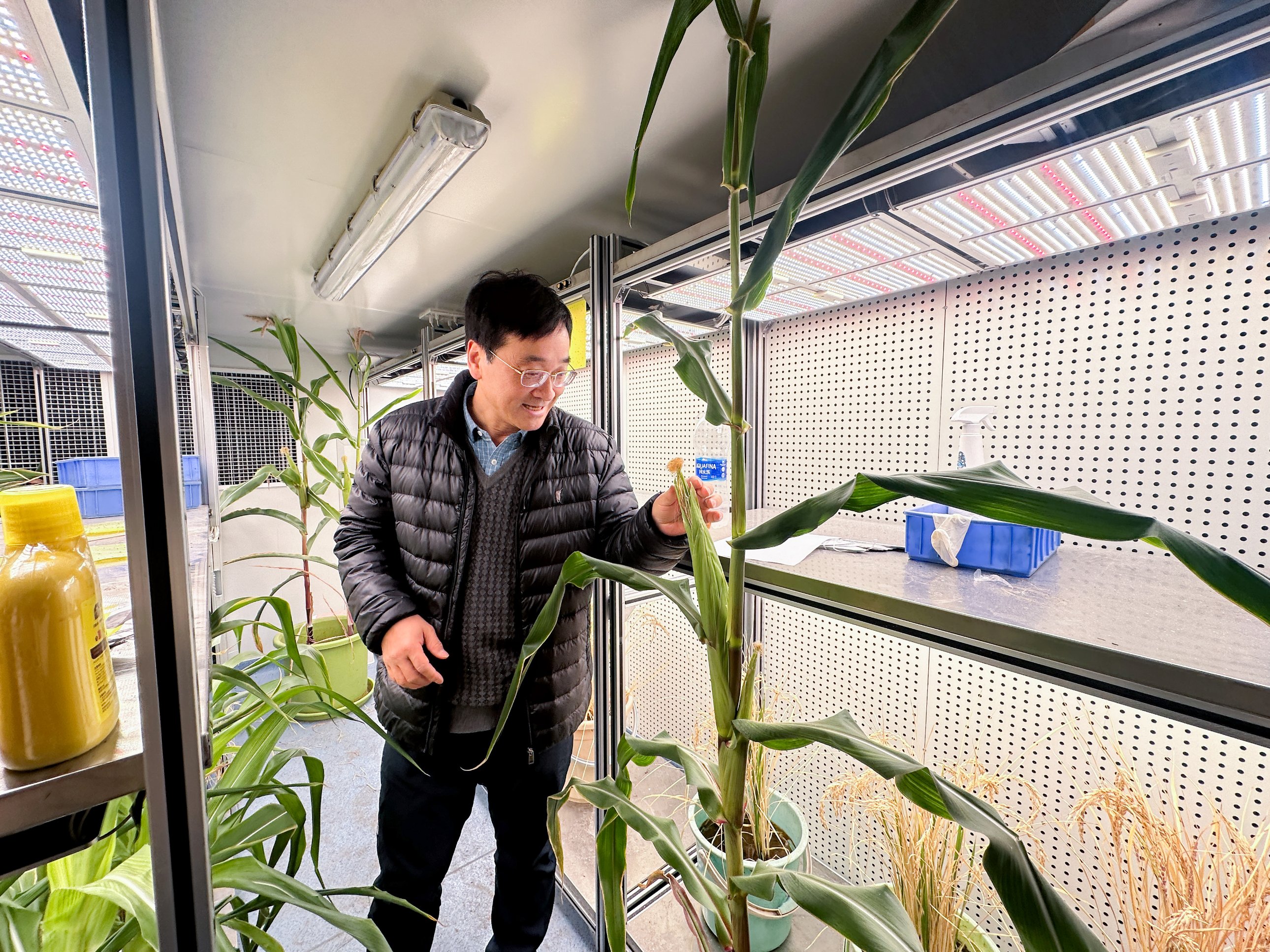 Yeni Başarılar Kutlanıyor