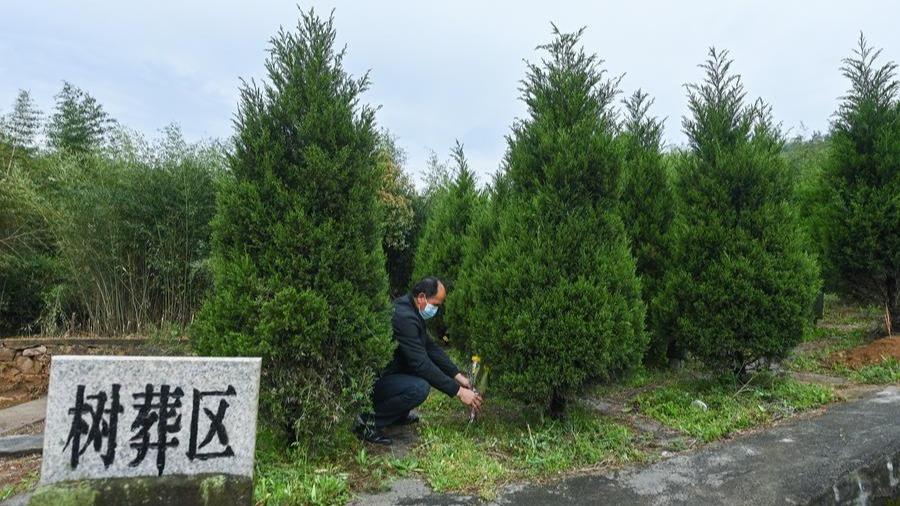 Qingming Festivali'nde Anma Geleneği