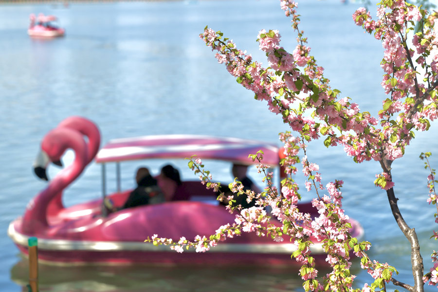 Çin, Qingming Festivali'nde Tüketim Büyümesi Kaydetti