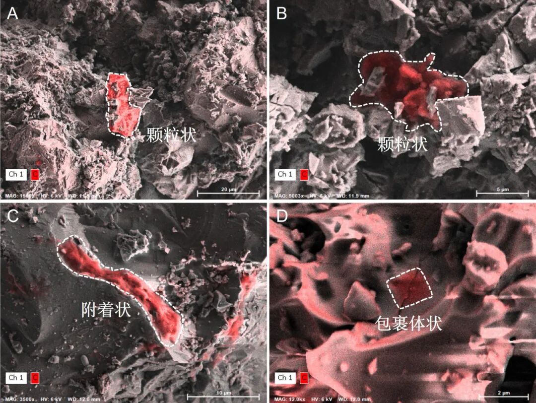 Ay'da Organik Bileşenler Üzerine Önemli Keşifler