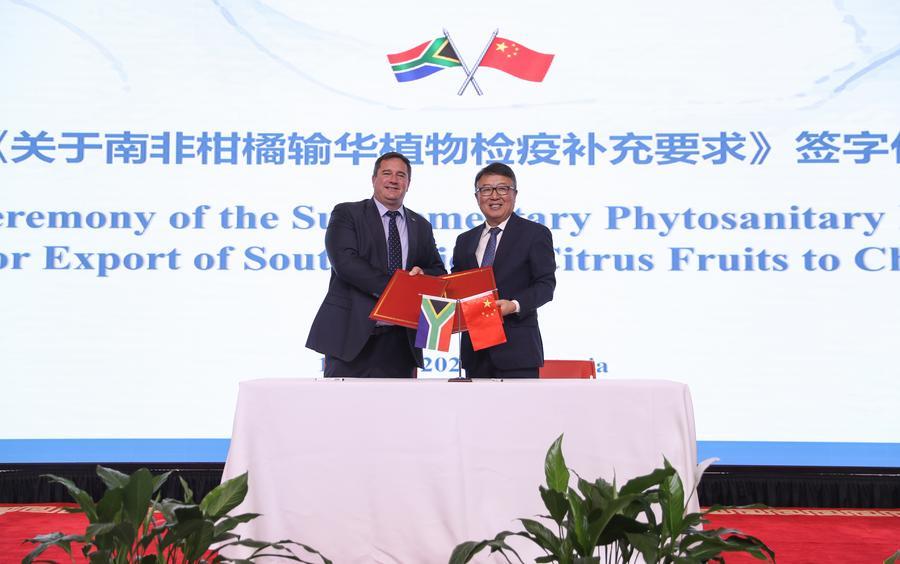 Güney Afrika'nın Narenciye İhracatı için Yeni Umutlar