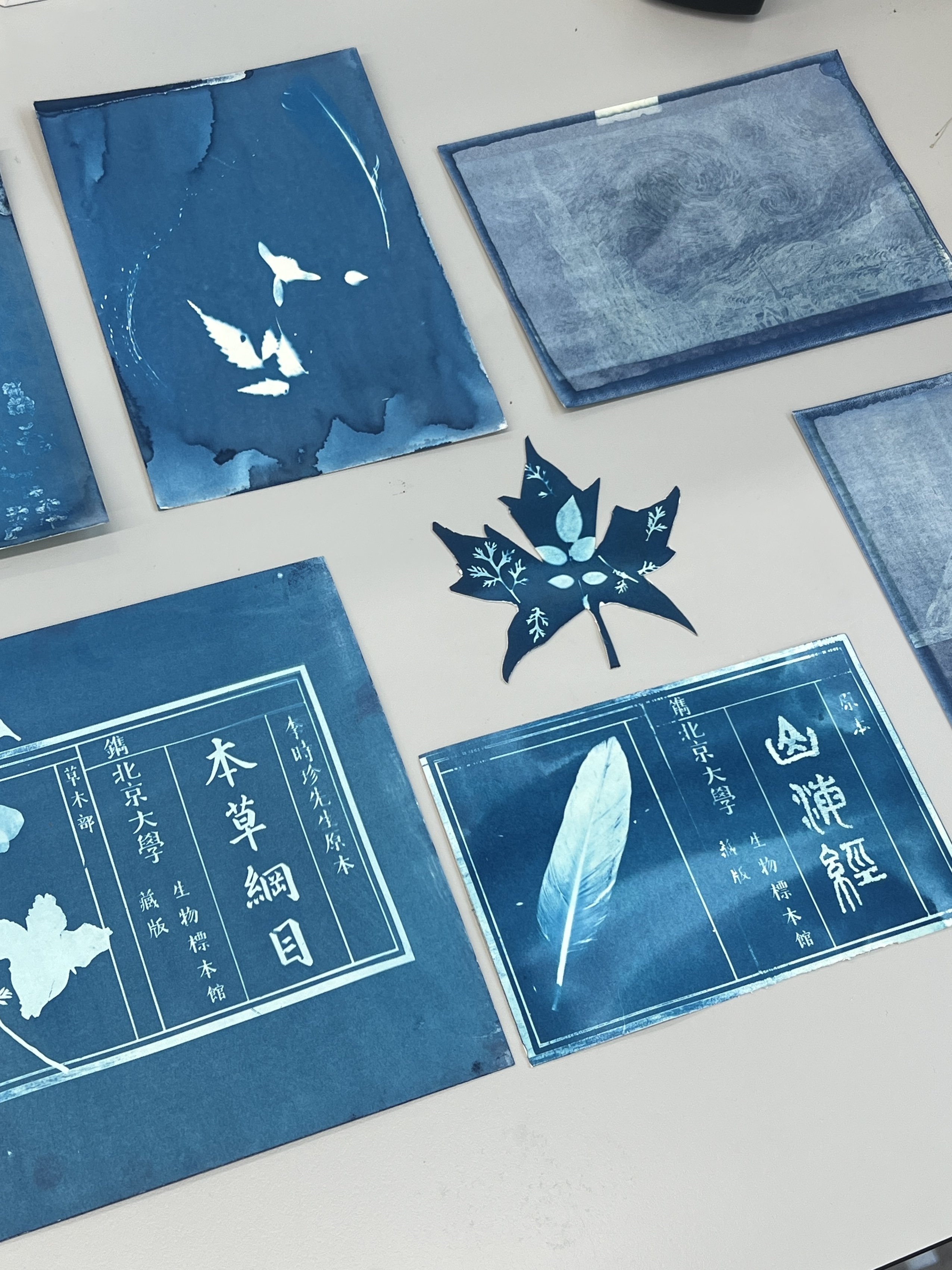 PKU'da Doğa ile Sanat Buluşuyor