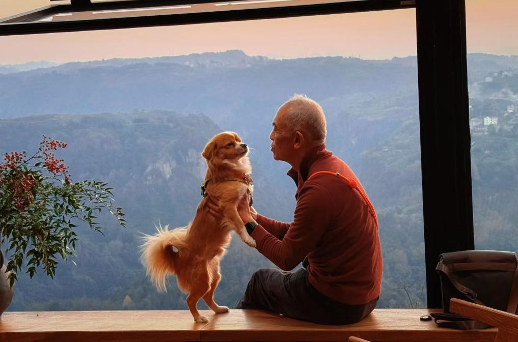 Şanghay'da Evcil Hayvan Ekonomisi Kırsal Büyümeyi Destekliyor