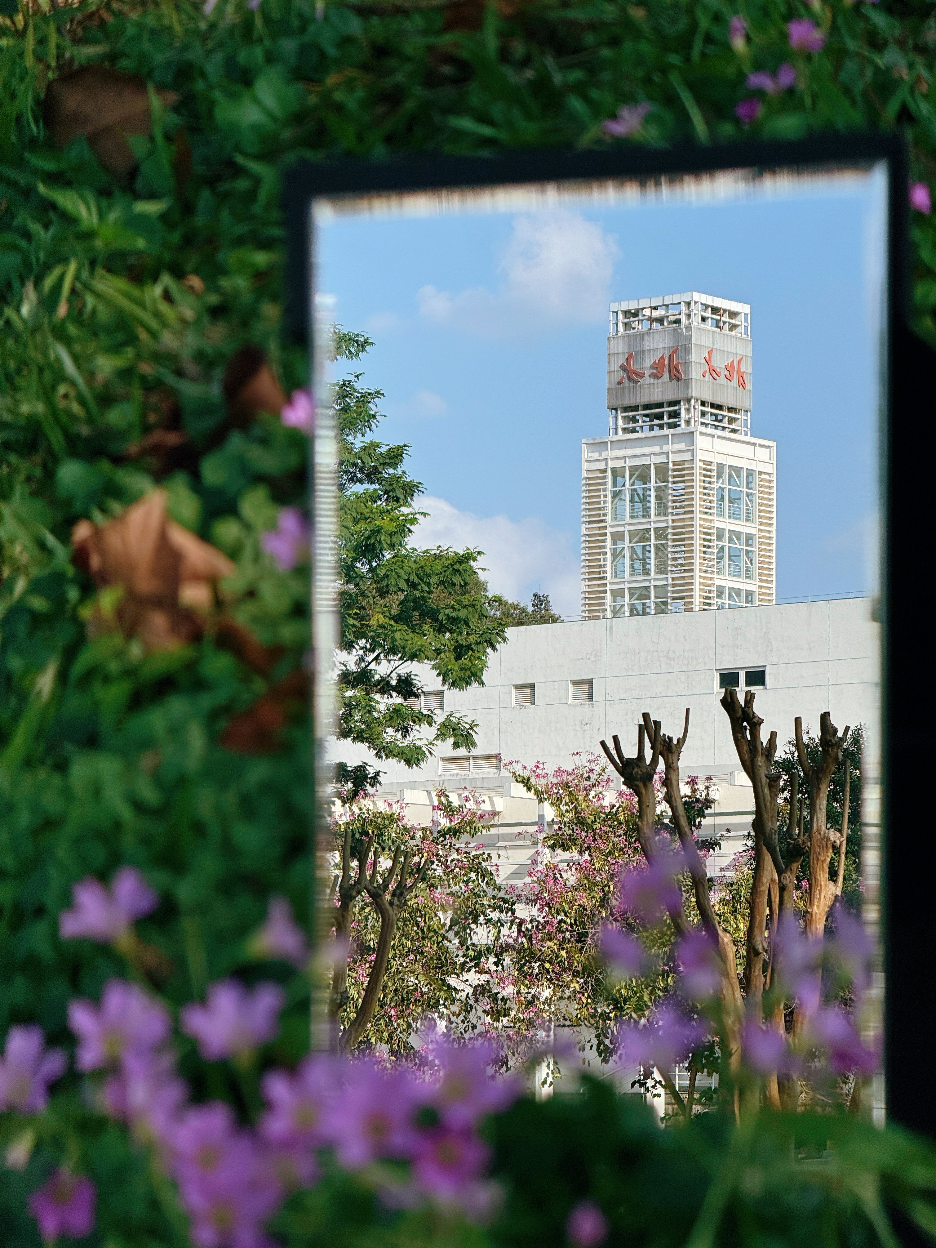 PKU çiçekleri neden bu kadar özel?