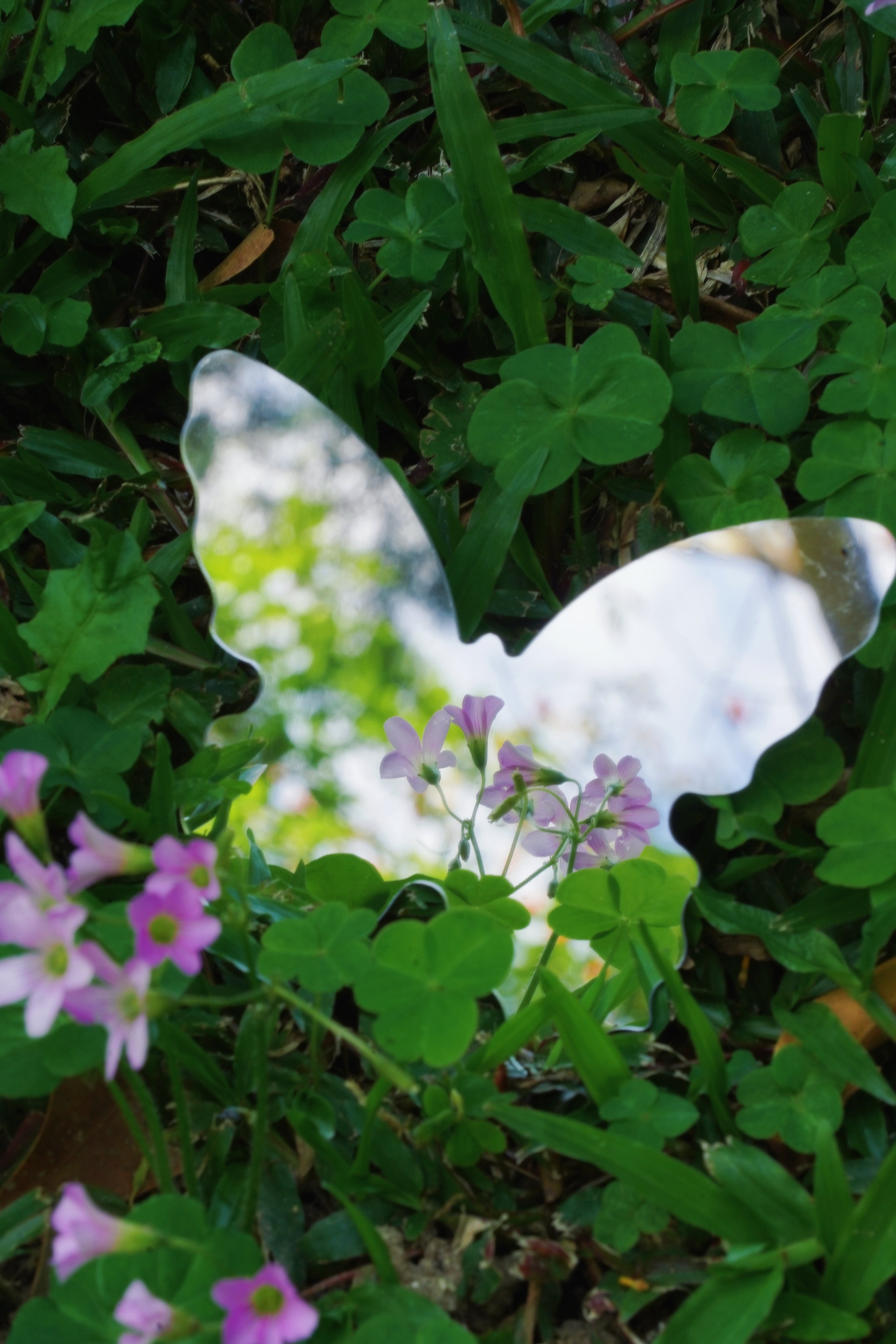 Aynalarda keşfedilen yeni harikalar neler?