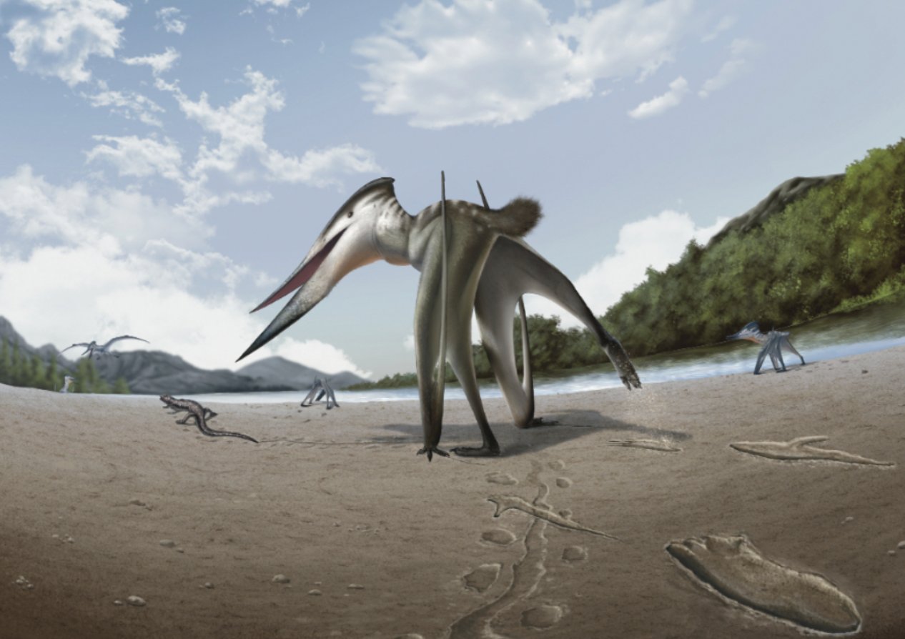 Pterozorların yeryüzünde avlanma yeteneği mi keşfedildi?