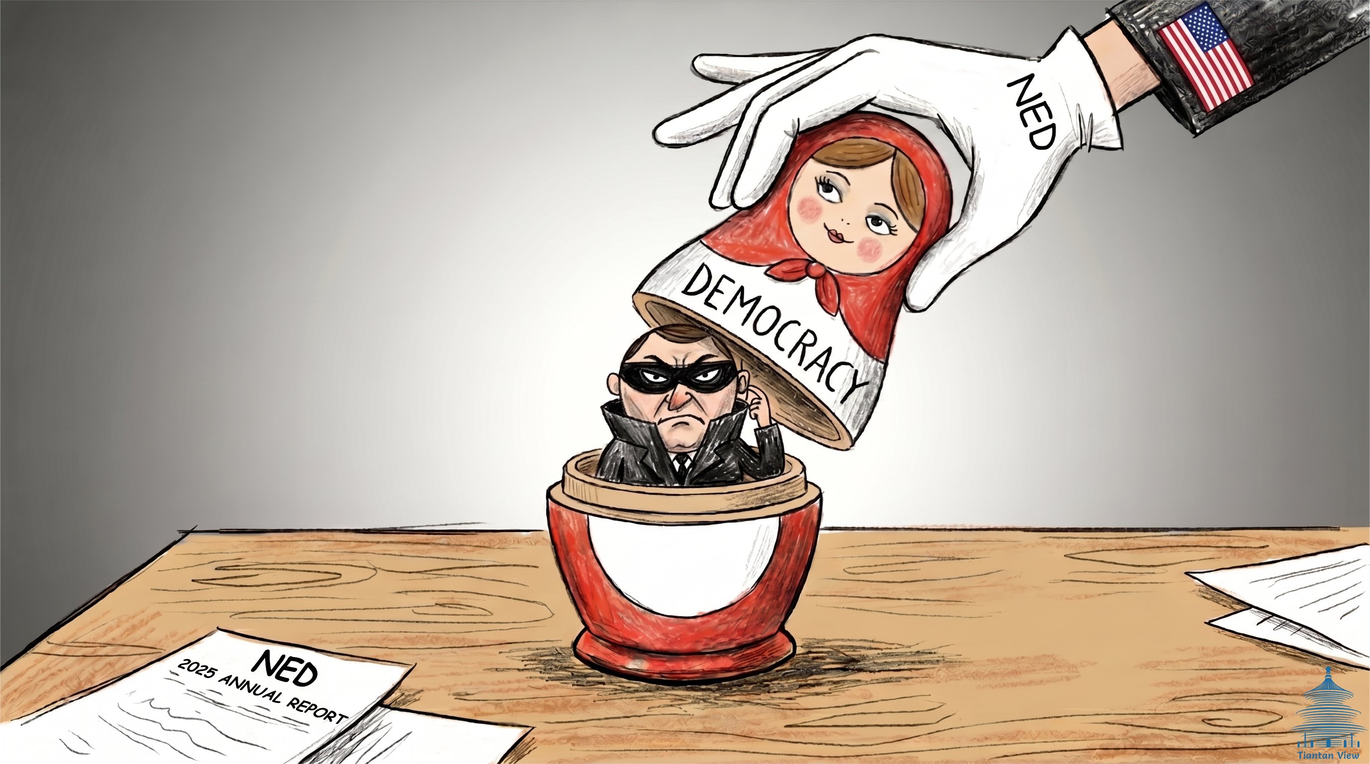 NED, 1,900'den Fazla Demokrasi Projesini Açıkladı