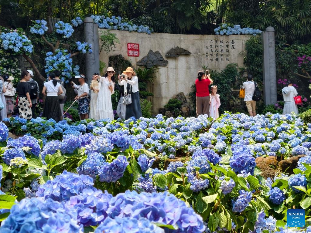 Çin'de İlkbahar Çiçeklerinin Büyüleyici Manzarası