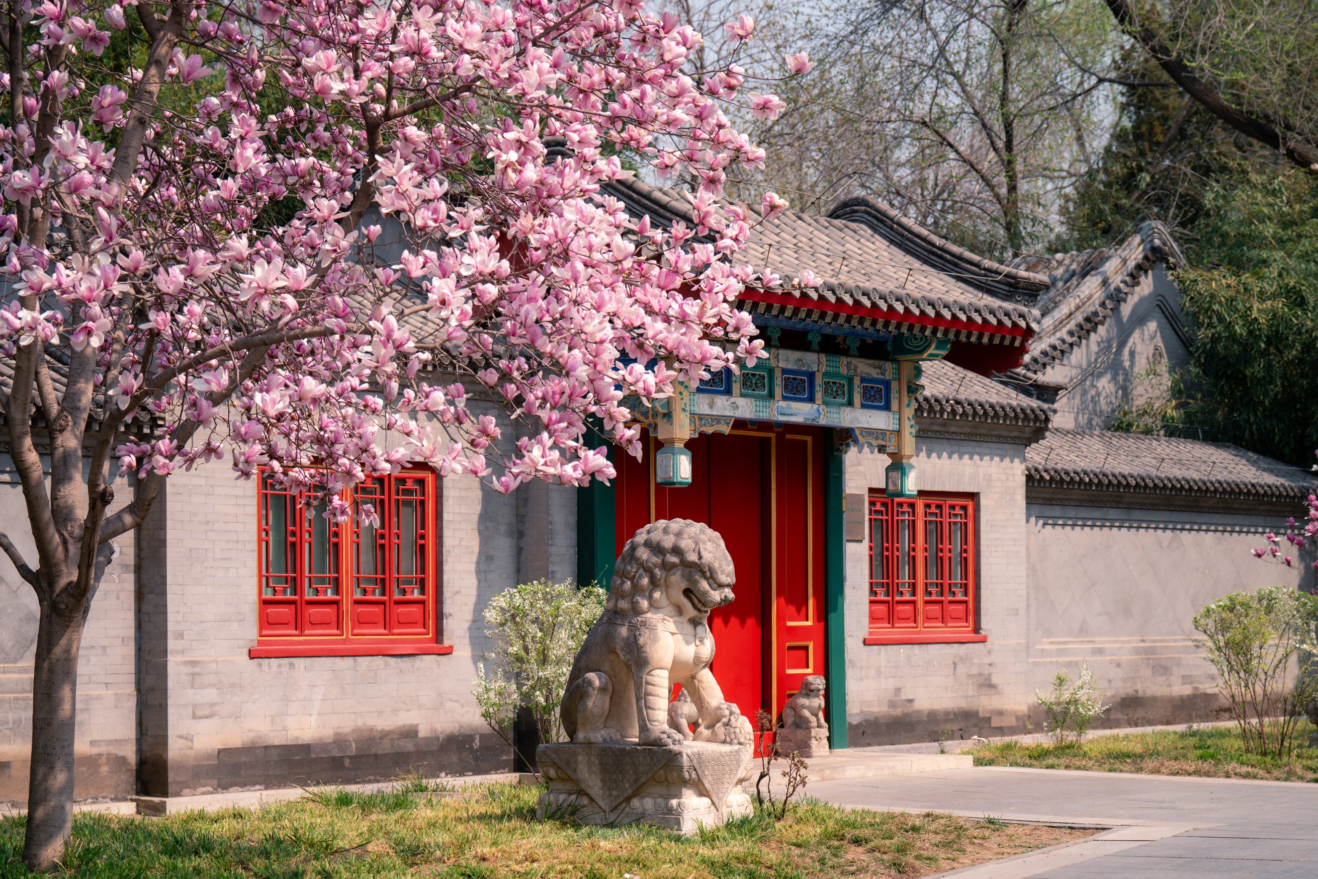 Farklı renklerde açan çiçekler baharın güzelliğini yansıtıyor