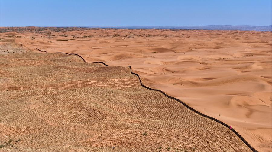 Çin, çölleşmeye karşı etkili adımlar atıyor
