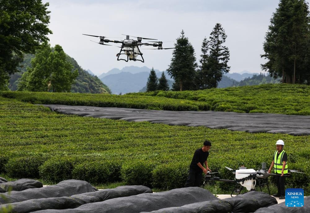 Çin Tarım Sektöründe Dijital Dönüşüm Başarıları