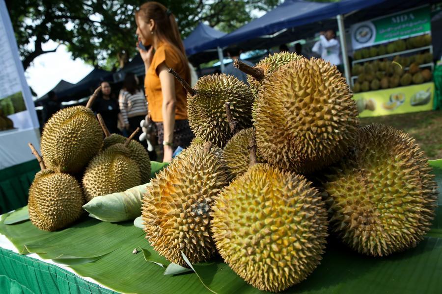 Myanmar'da Duryan Fuarı ile Endüstri Destekleniyor
