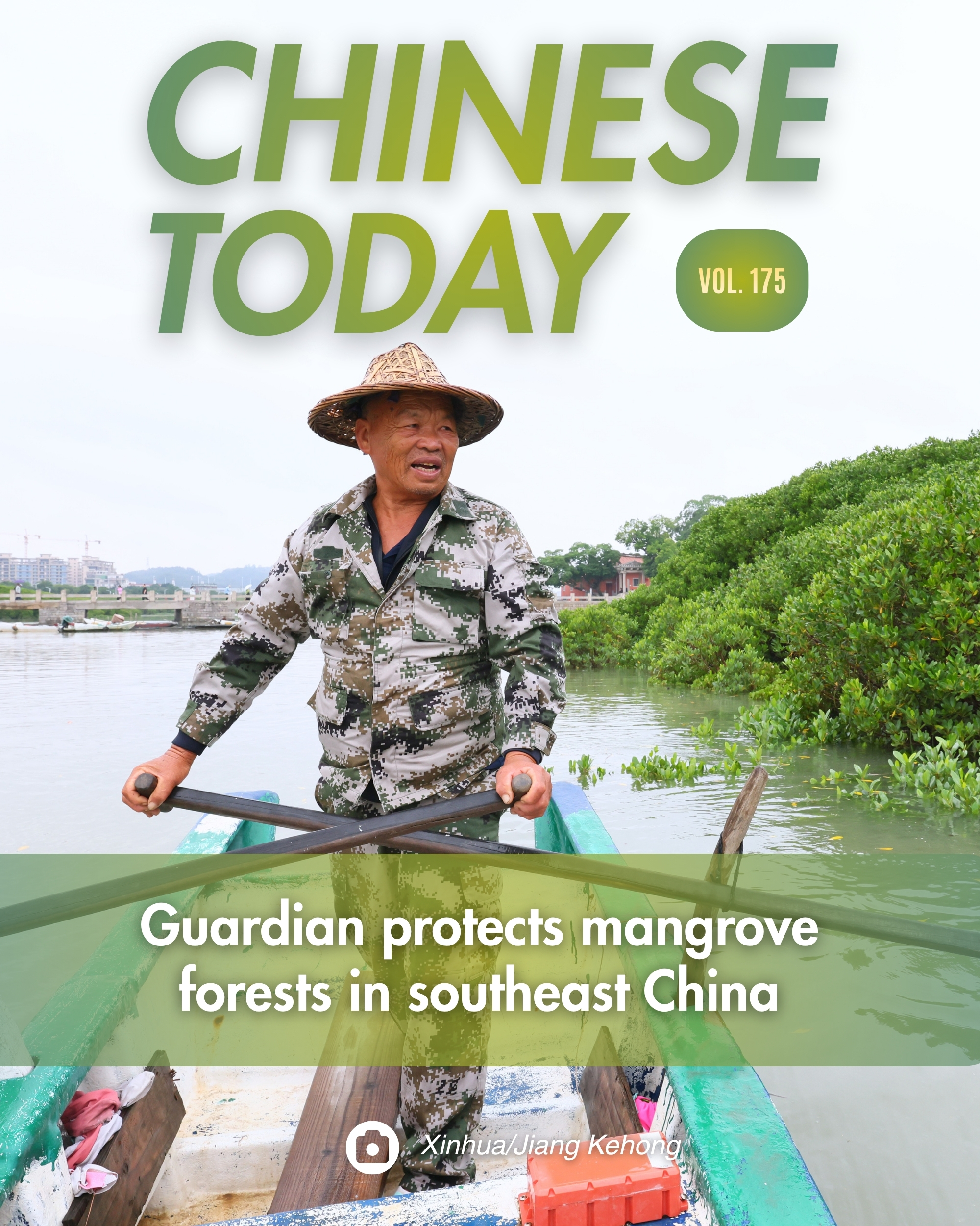Quanzhou'daki Mangrov Ormanları ve Liu Xinmin'in Görevi