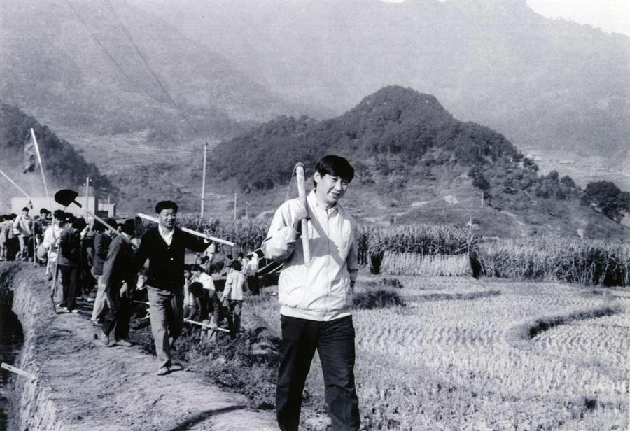 Xi Jinping'in Çay Endüstrisine Verdiği Destek