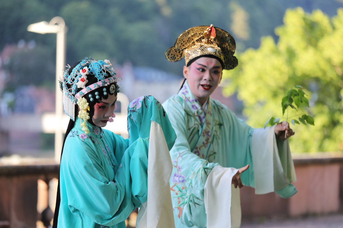 PKU Mezunu, Doktora İçin Heidelberg'de