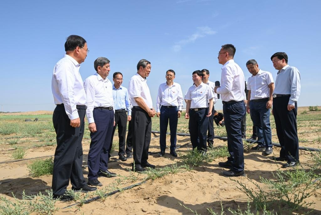 Çin Başbakan Yardımcısı, Orman Projeleri İçin İlerleme Çağrısı Yaptı