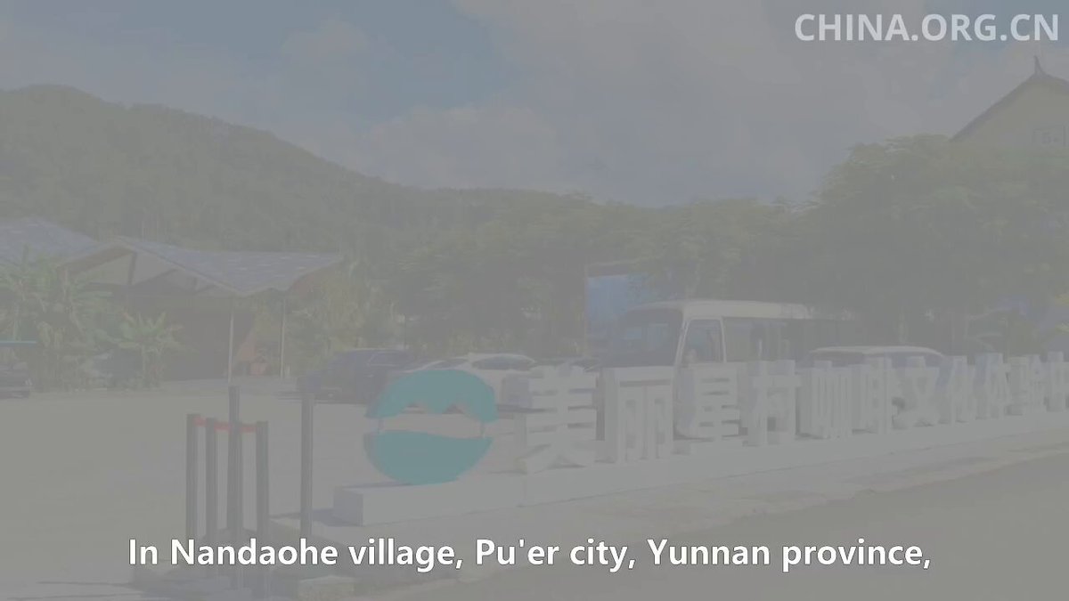 Yunnan'da Kahve Temalı Köy Kalkınma Projesi Yerel Yaşamı Dönüştürüyor